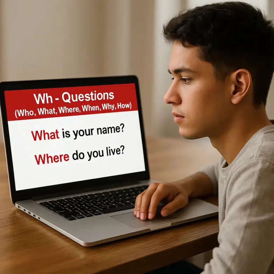 Elementary Grammar Lesson #210G Wh- Questions (Who, What, Where, When, Why, How) A Photograph Wh Questions 900x900