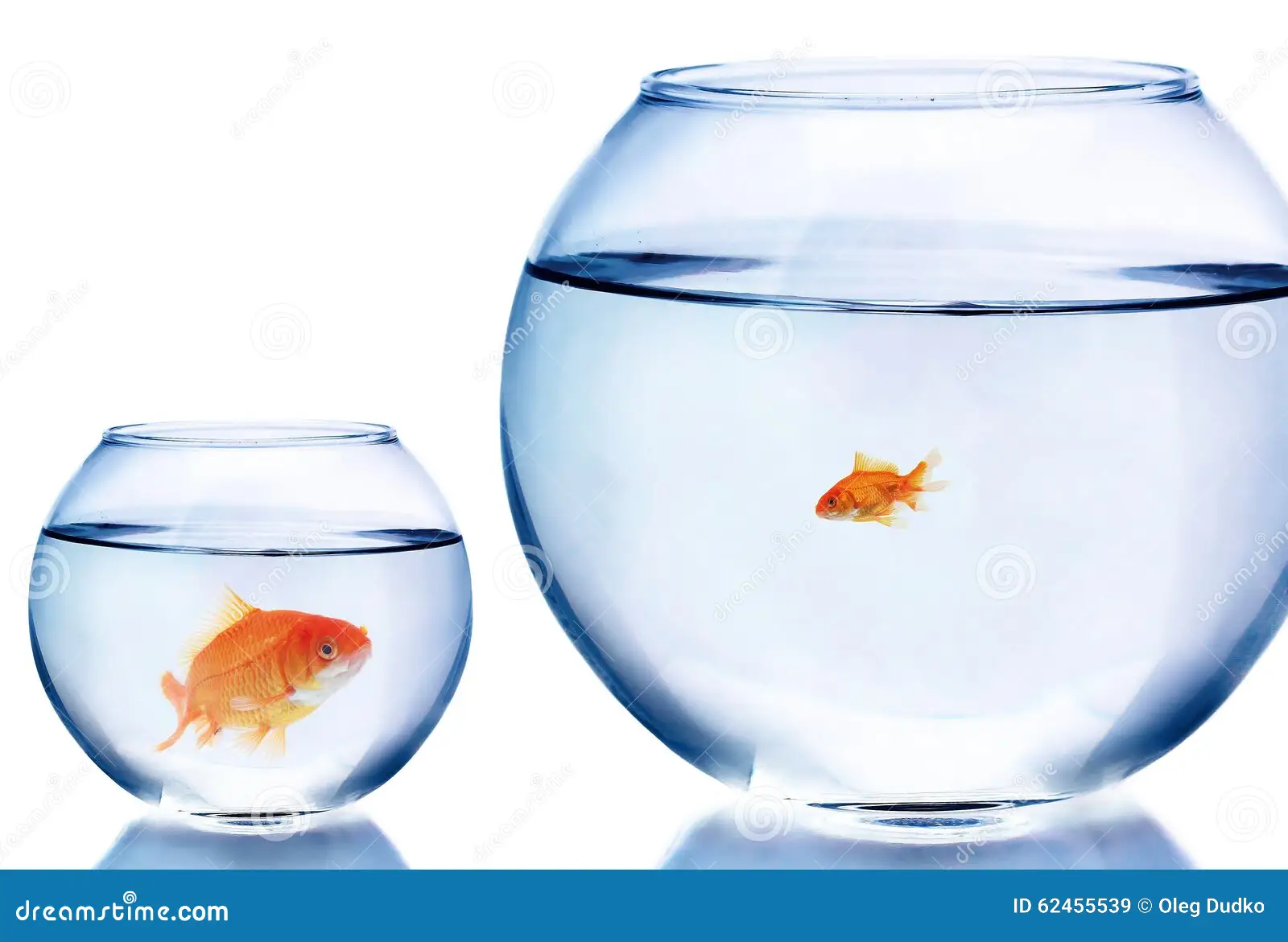 Absolute Beginner Grammar Lesson #019G What are Comparisons?